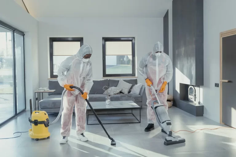 Best Steam Cleaners for Floors image